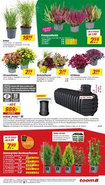 toom Baumarkt Prospekt woche 33 Seite 3
