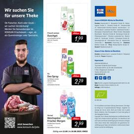 KONSUM Prospekt woche 33 Seite 12