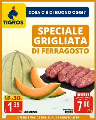 Volantino Tigros (valido fino al 18-08)