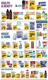 Food Lion Weekly Ad week 33 Page 13