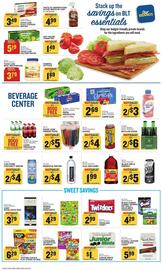 Food Lion Weekly Ad week 33 Page 9