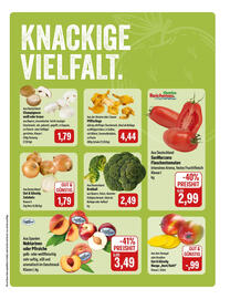 Feneberg Prospekt Seite 5
