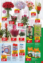 Twój Market gazetka tydzień 33 Strona 17