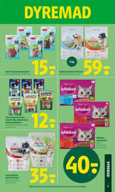 Coop 365 tilbudsavis uge 33 Side 13