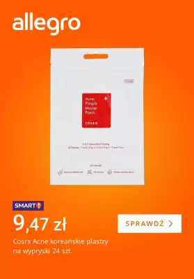Allegro gazetka (ważność do 18-08)