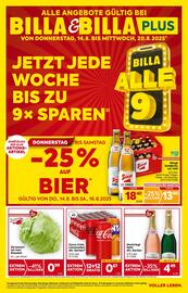Billa Box Flugblatt woche 33 Seite 1