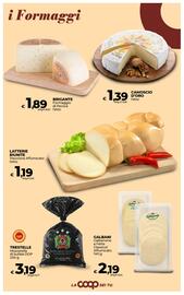 Volantino Ipercoop Radenza Pagina 23