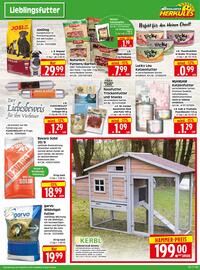 Herkules Baumarkt Prospekt woche 33 Seite 11