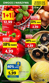 Lidl gazetka Strona 23