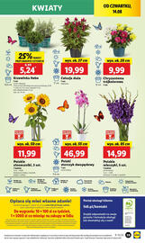 Lidl gazetka Strona 41