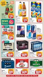 REWE PETZ Prospekt woche 33 Seite 16