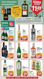 REWE PETZ Prospekt woche 33 Seite 17