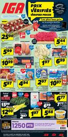 IGA flyer Page 1