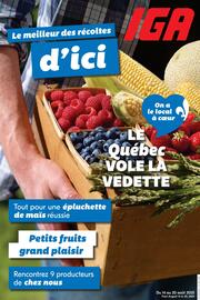 IGA flyer Page 14