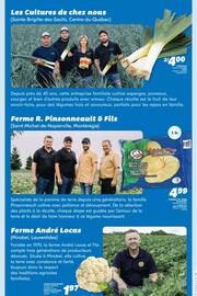 IGA flyer Page 21