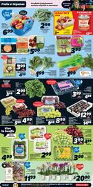 IGA flyer Page 3