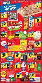 Maxi flyer Page 1