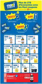 Maxi flyer Page 11