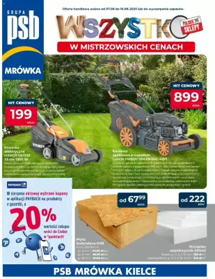 Mrówka gazetka (ważność do 16-08)