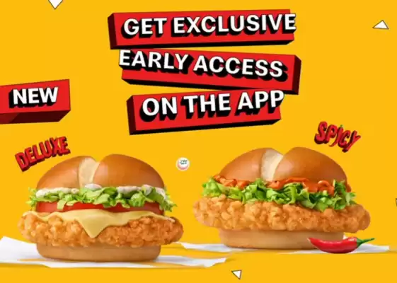 McDonald's catalogue (valid until 22-08)