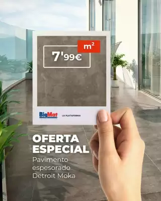 Folleto BigMat La Plataforma (válido hasta el 24-08)