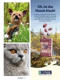 Das Futterhaus Flugblatt Seite 31
