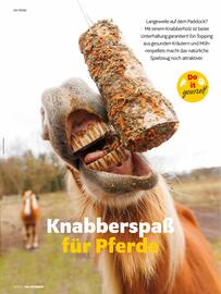 Das Futterhaus Flugblatt Seite 42