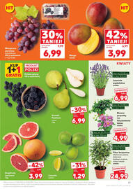Kaufland gazetka tydzień 33 Strona 21