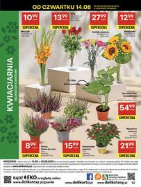 Delikatesy Centrum gazetka tydzień 33 Strona 52