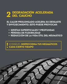 Folleto Rodi Página 3