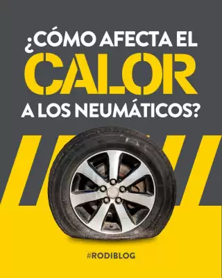 Folleto Rodi (válido hasta el 25-08)