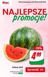 Dino gazetka tydzień 33 Strona 1