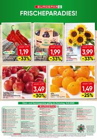 Eurospar Flugblatt Seite 16