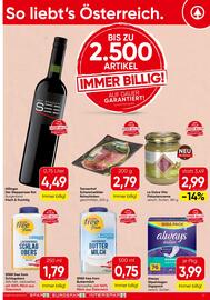 Spar Flugblatt Seite 17