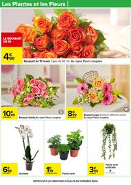 Catalogue Carrefour page 17