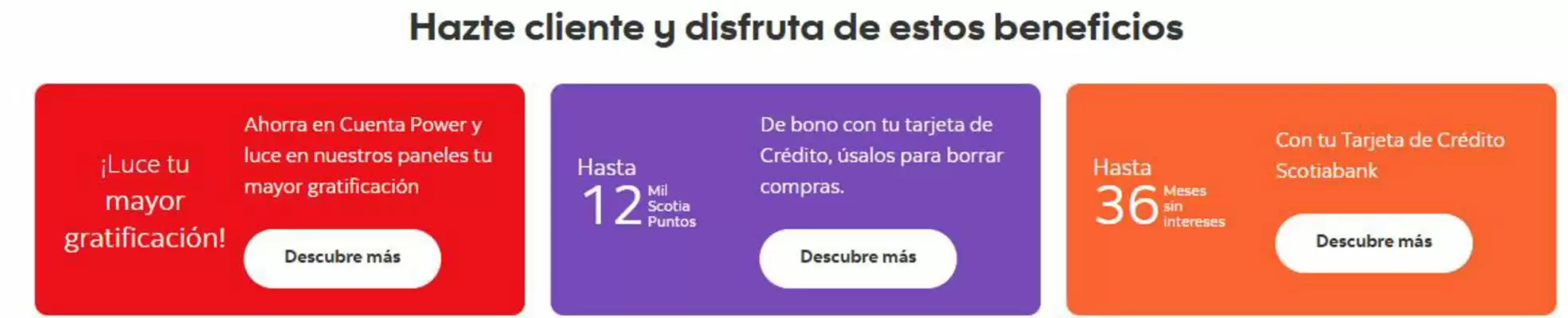 Catálogo Scotiabank (válido hasta 24-08)