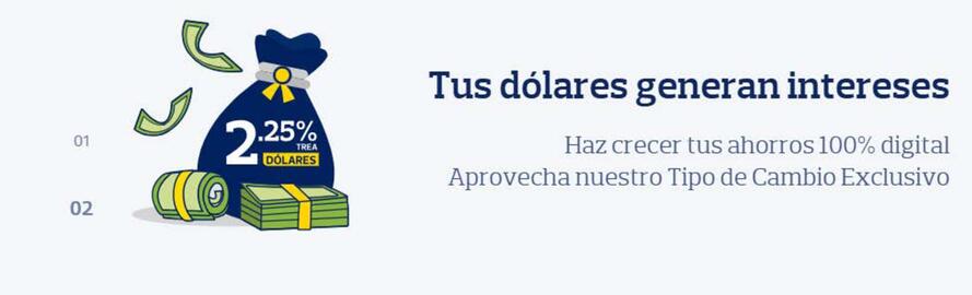 Catálogo Banco Pichincha Página 2