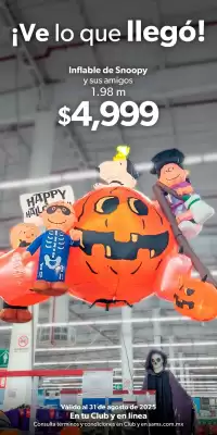 Catálogo Sam's Club (válido hasta 31-08)