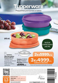 Catálogo Tupperware Página 117