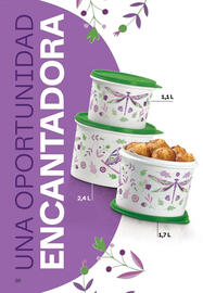Catálogo Tupperware Página 51