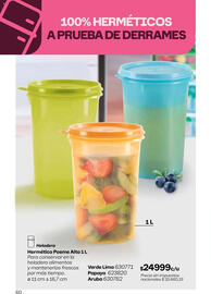 Catálogo Tupperware Página 61