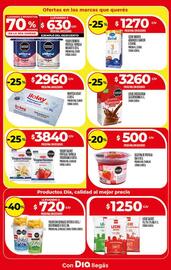 Catálogo Supermercados DIA semana 33 Página 10