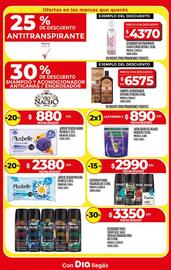 Catálogo Supermercados DIA semana 33 Página 21