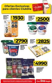 Catálogo Supermercados DIA semana 33 Página 37