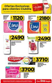Catálogo Supermercados DIA semana 33 Página 43