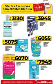 Catálogo Supermercados DIA semana 33 Página 44