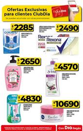 Catálogo Supermercados DIA semana 33 Página 45