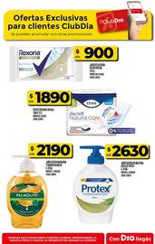 Catálogo Supermercados DIA semana 33 Página 46