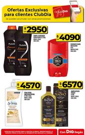 Catálogo Supermercados DIA semana 33 Página 47