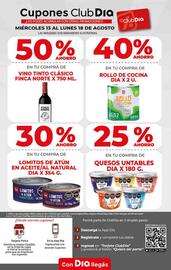 Catálogo Supermercados DIA semana 33 Página 6